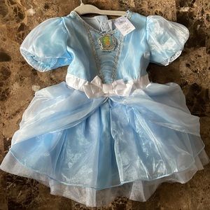 Cinderella dress